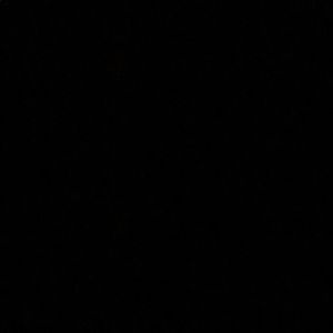 Meet your Posher, Nicholas